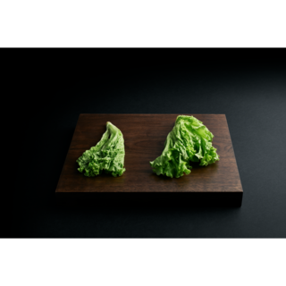 AEG - Vestavná kombinovaná chladnička - SCE618E5TS