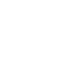 Soft Opening