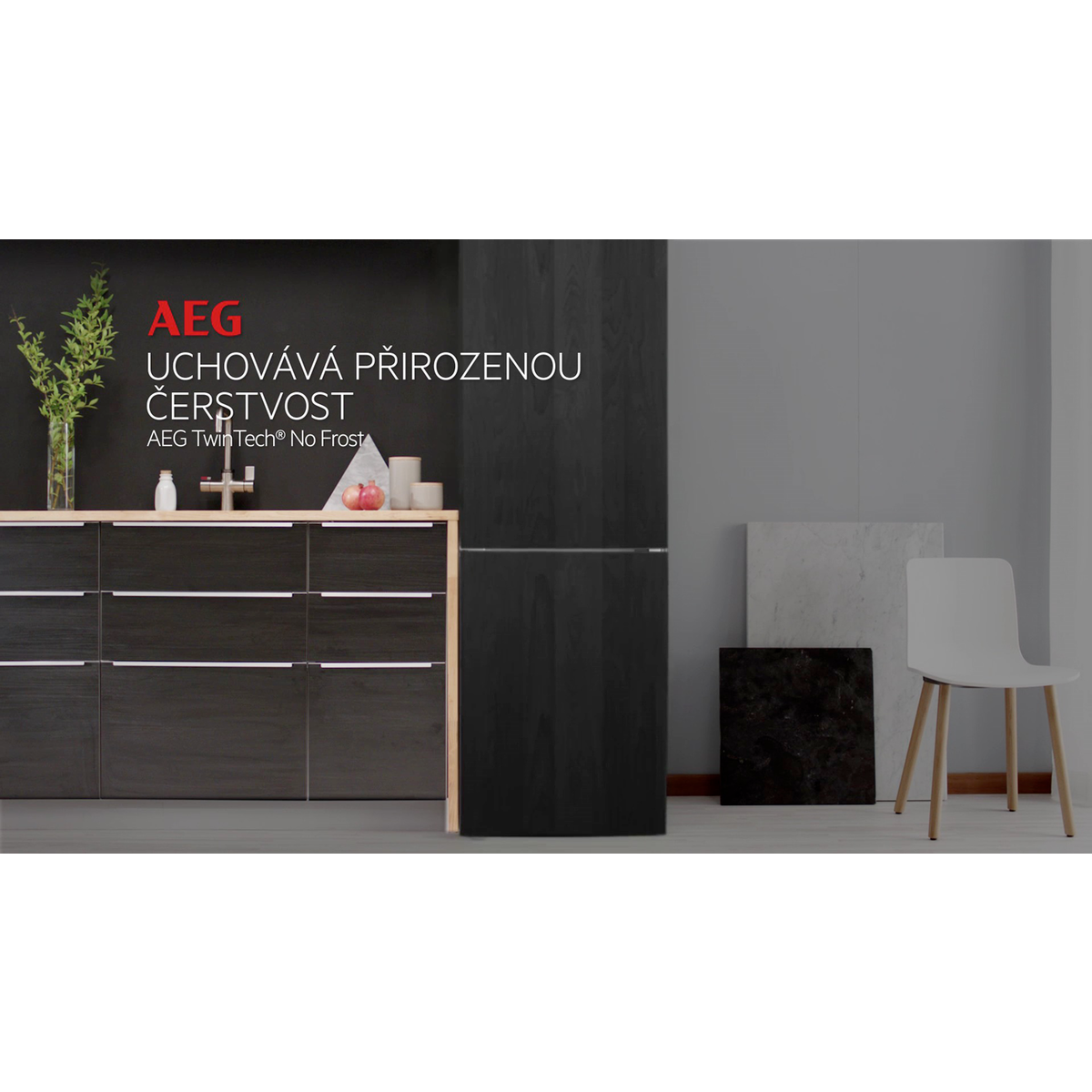 AEG - Vestavné chladničky s mrazákem - SCE818E6TF