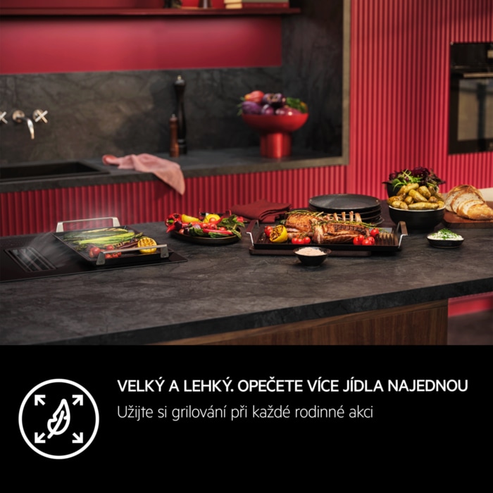 AEG - PLANCHA GRILL - A9HHPG11