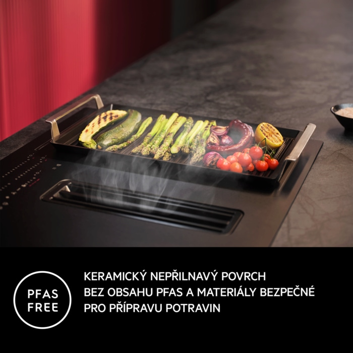 AEG - PLANCHA GRILL - A9HHPG11