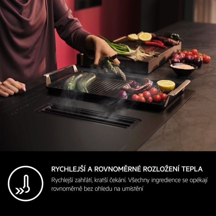 AEG - PLANCHA GRILL - A9HHPG11