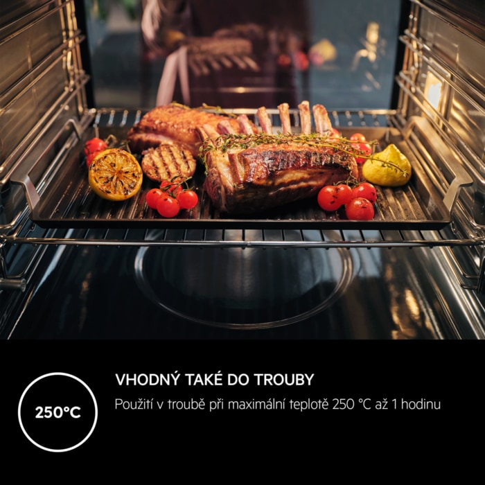 AEG - PLANCHA GRILL - A9HHPG11