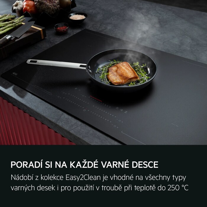 PORADÍ SI S TEPLEM NA KAŽDÉ VARNÉ DESCE Nádobí z kolekce Easy2Clean je vhodné na všechny typy varných desek i pro použití v troubě při teplotě do 250 °C