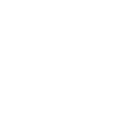 SenseFry