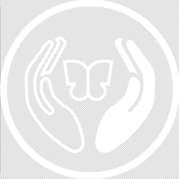 DualSense®