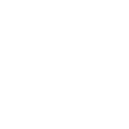 Teplotní sonda SensePro