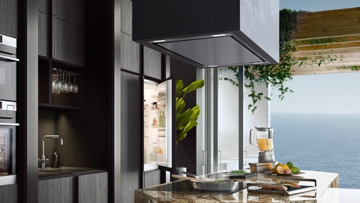 Ceiling hoods
